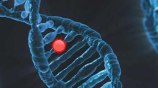 科学家确定基因靶标以提高癌症免疫疗法的有效性