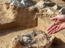 在以色列南部沙漠中发现的古代鸵鸟蛋