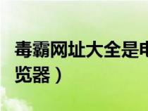 毒霸网址大全是电脑正版吗（毒霸网址大全浏览器）