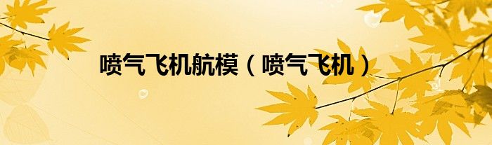 喷气飞机航模（喷气飞机）