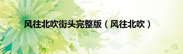 风往北吹街头完整版（风往北吹）