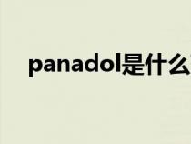 panadol是什么药（panadol是什么药）