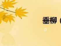 垂柳（垂柳的拼音）