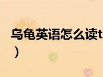 乌龟英语怎么读turtle音标(乌龟英语怎么读) 乌龟英语怎么读turtle音标(乌龟英语怎么读)