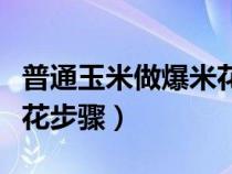 普通玉米做爆米花步骤视频（普通玉米做爆米花步骤）