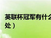 英联杯冠军有什么奖励（英联杯冠军有什么好处）