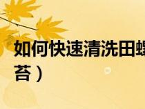 如何快速清洗田螺外壳（如何快速清洗田螺青苔）