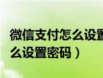 微信支付怎么设置密码进入钱包（微信支付怎么设置密码）