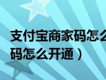 支付宝商家码怎么开通花呗支付（支付宝商家码怎么开通）