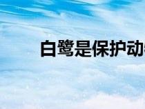 白鹭是保护动物吗（白鹭是什么鸟）