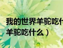 我的世界羊驼吃什么可以生小羊驼（我的世界羊驼吃什么）