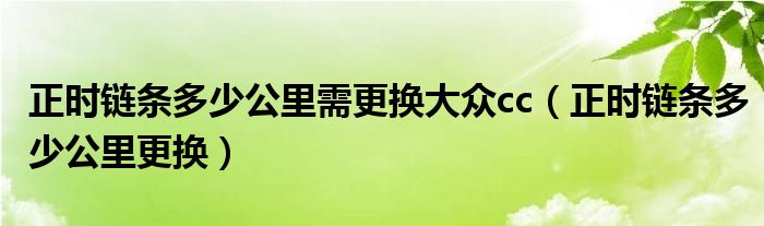 正时链条多少多公里需替换公共cc（正时链条多少多公里替换）