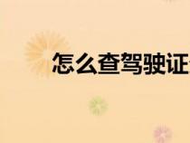 怎么查驾驶证分（怎么查驾驶证分）