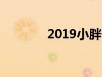 2019小胖子（2019小生意）