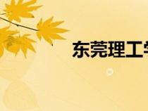 东莞理工学院中央认证系统