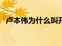 卢本伟为什么叫开哥（卢本伟为什么被封）