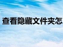 查看隐藏文件夹怎么操作（查看隐藏文件夹）