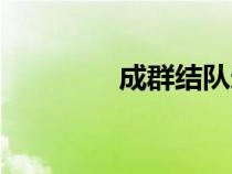 成群结队造句（成群结队）