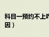 科目一预约不上咋回事（科目一预约不上的原因）