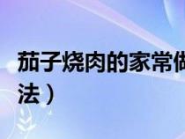 茄子烧肉的家常做法视频（茄子烧肉的家常做法）