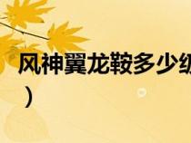 风神翼龙鞍多少级做（风神翼龙鞍多少级解锁）