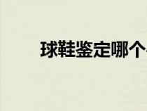 球鞋鉴定哪个平台靠谱（球鞋鉴定）