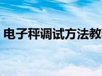 电子秤调试方法教程（电子秤调试方法视频）