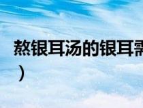 熬银耳汤的银耳需要泡多久（熬银耳汤的步骤）
