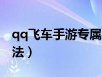 qq飞车手游专属福利码（qq飞车手游专业跑法）