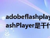 adobeflashplayer是干什么软件（AdobeFlashPlayer是干什么用的）