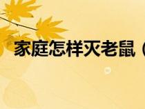 家庭怎样灭老鼠（家庭怎样灭老鼠最有效）