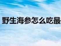 野生海参怎么吃最有营养（野生海参怎么吃）