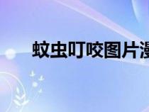 蚊虫叮咬图片漫画图（蚊虫叮咬图片）