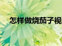怎样做烧茄子视频教程（怎样做烧茄子）