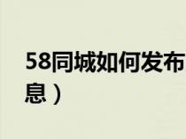 58同城如何发布宠物兔（58同城如何发布信息）