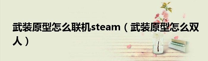 武装原型奈何样联机steam（武装原型奈何样双人）