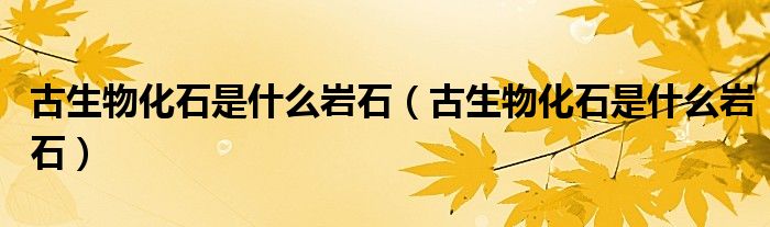 古生物化石是什么岩石（古生物化石是什么岩石）