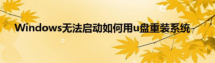 Windows无法启动如何用u盘重装系统
