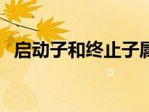 启动子和终止子属于非编码区吗（启动子）