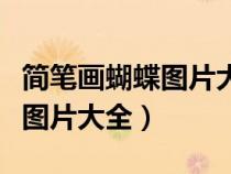 简笔画蝴蝶图片大全大图带颜色（简笔画蝴蝶图片大全）