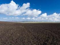 研究揭示全球土壤氮稳定同位素与土壤含水量之间的关系