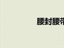 腰封腰带（腰封是什么）