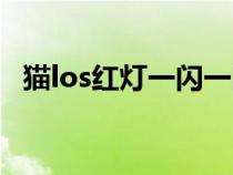 猫los红灯一闪一闪（猫los红灯一直闪烁）