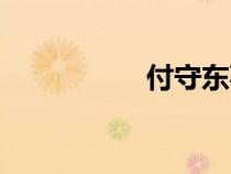 付守东事件（付守东）