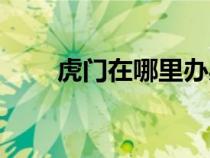 虎门在哪里办身份证（虎门在哪里）