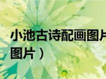 小池古诗配画图片简单又好看（小池古诗配画图片）