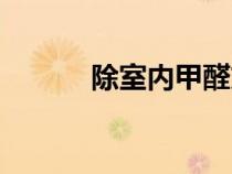 除室内甲醛方法（除室内甲醛）