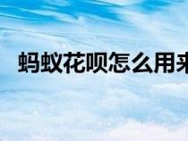 蚂蚁花呗怎么用来借钱（蚂蚁花呗怎么用）