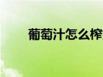 葡萄汁怎么榨好喝（葡萄汁怎么榨）
