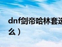 dnf剑帝哈林套选什么(dnf剑帝哈林套选什么) dnf剑帝哈林套选什么(dnf剑帝哈林套选什么)